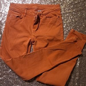 Zara premium denim skinny jeans